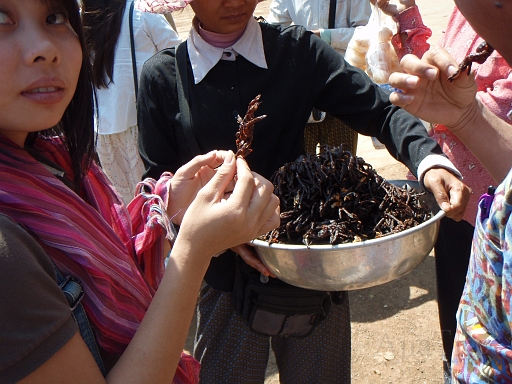 To Phunompen.JPG - �J���{�W�A